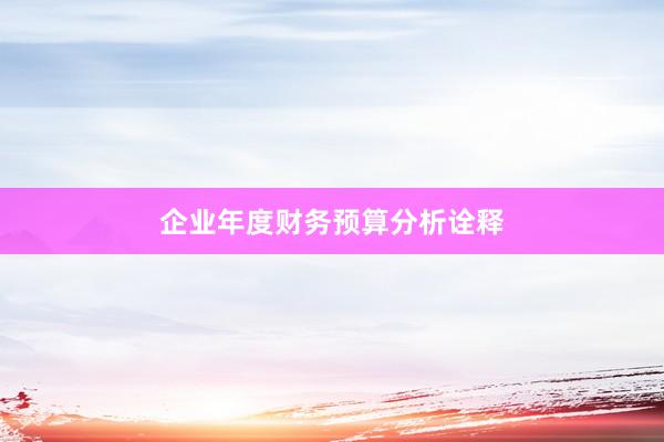 企业年度财务预算分析诠释