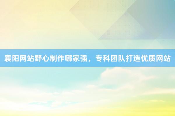 襄阳网站野心制作哪家强，专科团队打造优质网站