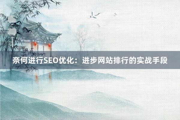 奈何进行SEO优化：进步网站排行的实战手段
