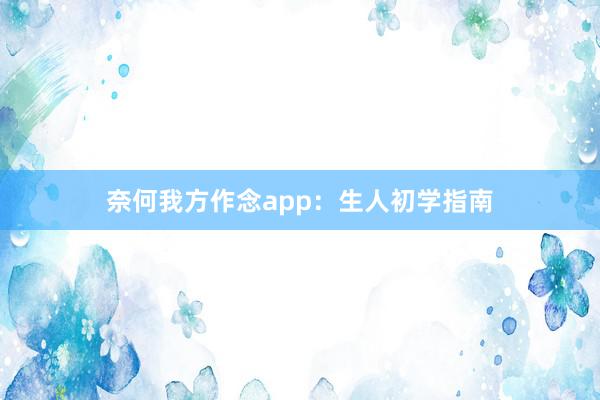 奈何我方作念app：生人初学指南